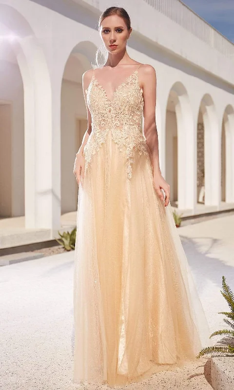 Cinderella Style Dress J'Adore Dresses - JM104 Lace Applique Bodice Glitter Tulle A-Line Gown Cinderella Style Dress J'Adore Dresses - JM104 Lace Applique Bodice Glitter Tulle A-Line Gown